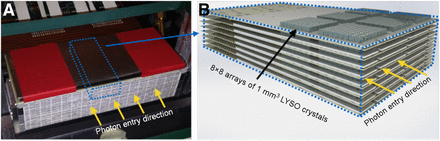 FIGURE 1.