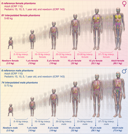 FIGURE 4.