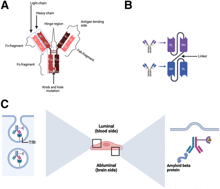 FIGURE 3.