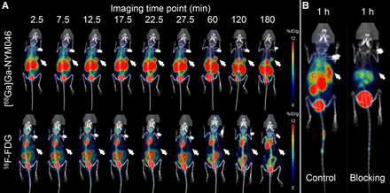 FIGURE 2.