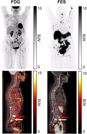 FIGURE 1.