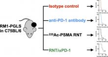 Immune-Checkpoint Blockade Enhances <sup>225</sup>Ac-PSMA617 Efficacy in a Mouse Model of Prostate Cancer