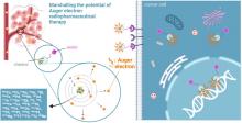 Marshalling the Potential of Auger Electron Radiopharmaceutical Therapy