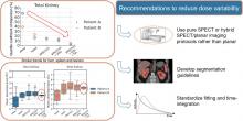 An International Study of Factors Affecting Variability of Dosimetry Calculations, Part 2: Overall Variabilities in Absorbed Dose