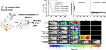 Cure of Disseminated Human Lymphoma with [<sup>177</sup>Lu]Lu-Ofatumumab in a Preclinical Model