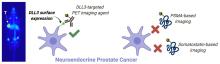 Molecular Imaging of Neuroendocrine Prostate Cancer by Targeting Delta-Like Ligand 3