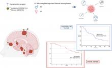 Peptide Receptor Radionuclide Therapy in Advanced Refractory Meningiomas: Efficacy and Toxicity in a Long Follow-up