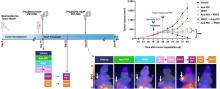 Addition of Peptide Receptor Radiotherapy to Immune Checkpoint Inhibition Therapy Improves Outcomes in Neuroendocrine Tumors