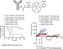 Effectiveness of <sup>225</sup>Ac-Labeled Anti-EGFR Radioimmunoconjugate in EGFR-Positive Kirsten Rat Sarcoma Viral Oncogene and BRAF Mutant Colorectal Cancer Models