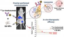 Gadolinium-Based Nanoparticles Sensitize Ovarian Peritoneal Carcinomatosis to Targeted Radionuclide Therapy