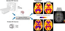 Dynamic Human Brain Imaging with a Portable PET Camera: Comparison to a Standard Scanner