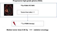 [<sup>177</sup>Lu]Lu-PSMA Therapy as an Individual Treatment Approach for Patients with High-Grade Glioma: Dosimetry Results and Critical Statement