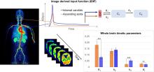 Can Internal Carotid Arteries Be Used for Noninvasive Quantification of Brain PET Studies?