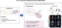 Synthesis and Preclinical Evaluation of a <sup>68</sup>Ga-Labeled Adnectin, <sup>68</sup>Ga-BMS-986192, as a PET Agent for Imaging PD-L1 Expression