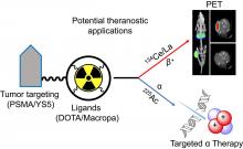 Evaluation of <sup>134</sup>Ce/<sup>134</sup>La as a PET Imaging Theranostic Pair for <sup>225</sup>Ac α-Radiotherapeutics