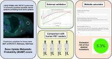 Composite Prediction Score to Interpret Bone Focal Uptake in Hormone-Sensitive Prostate Cancer Patients Imaged with [<sup>18</sup>F]PSMA-1007 PET/CT